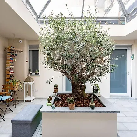 Little Square 阿罗纳